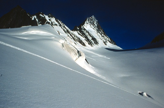 Il FinsteraarHorn dalle pendici terminali del Gemslucke