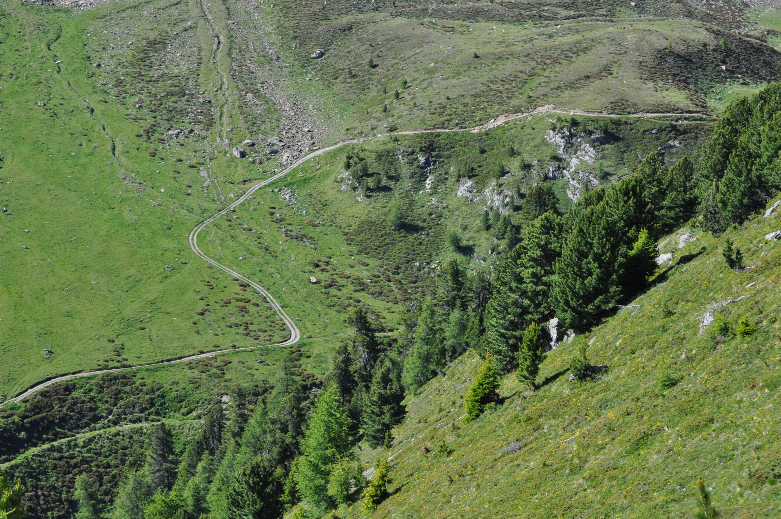 Il sentiero di salita dalla Val Sobretta