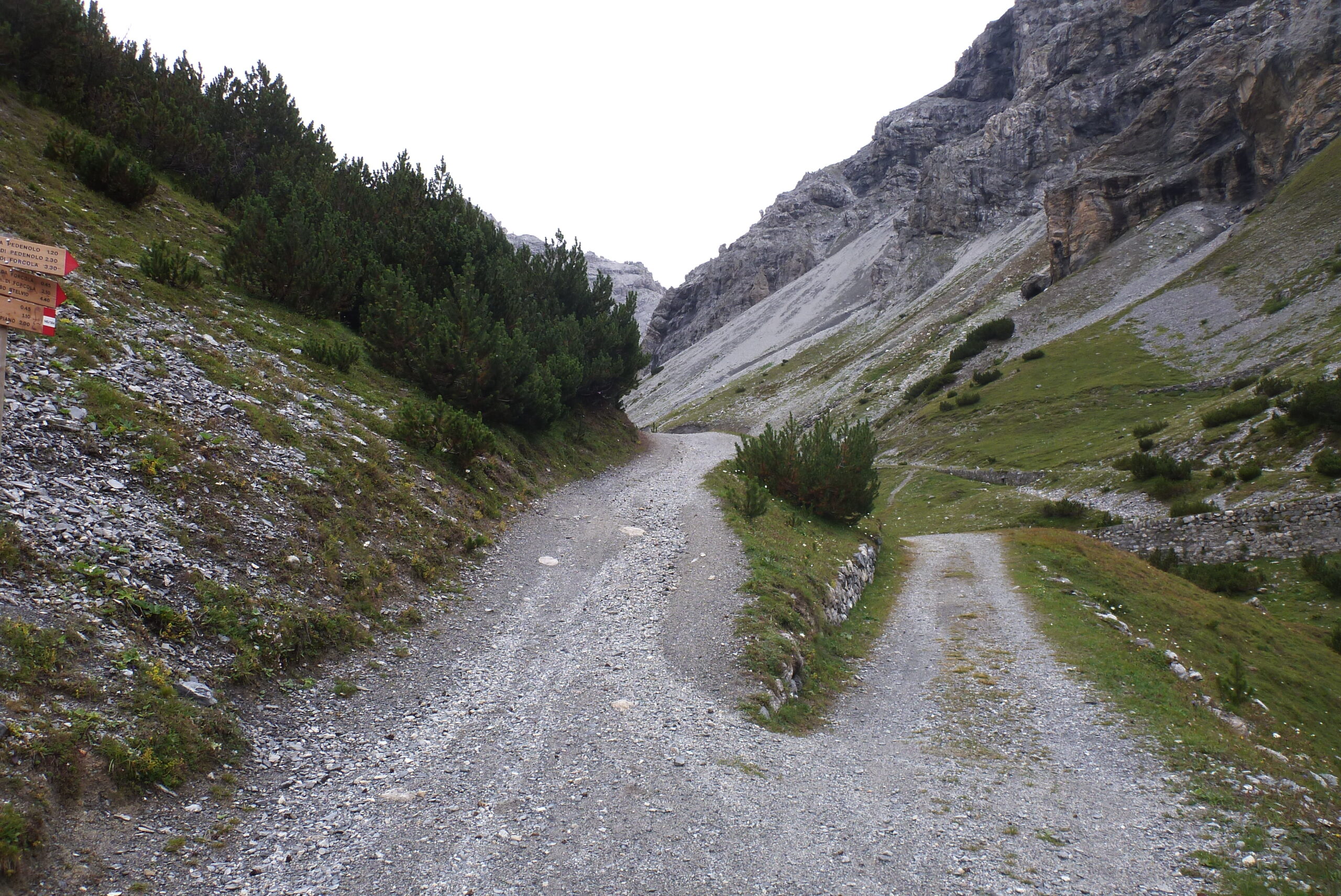 A sinistra verso la Forcola di Rims, a destra verso la Bocchetta di Pedenolo