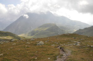 Il sentiero che porta all'Alpe Trela