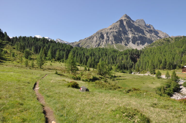 Mantenrsi sempre sul sentiero a destra del Viola