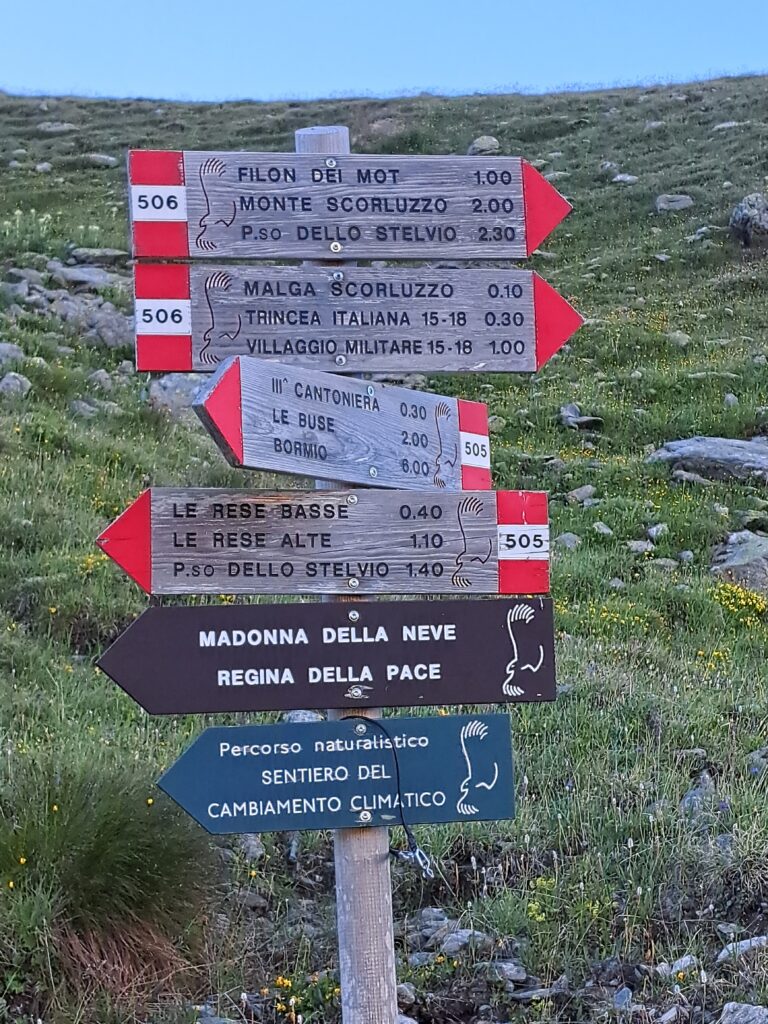 Indicazioni