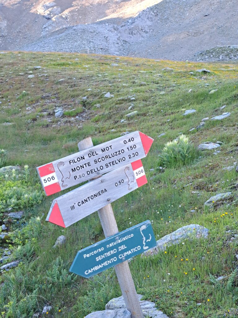 Indicazioni