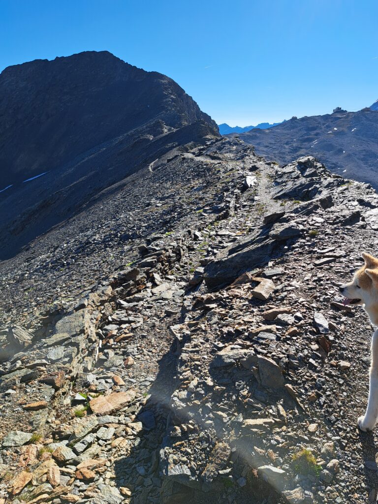 20260710_082613