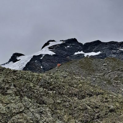 Il Bivacco e la Cima Piazzi